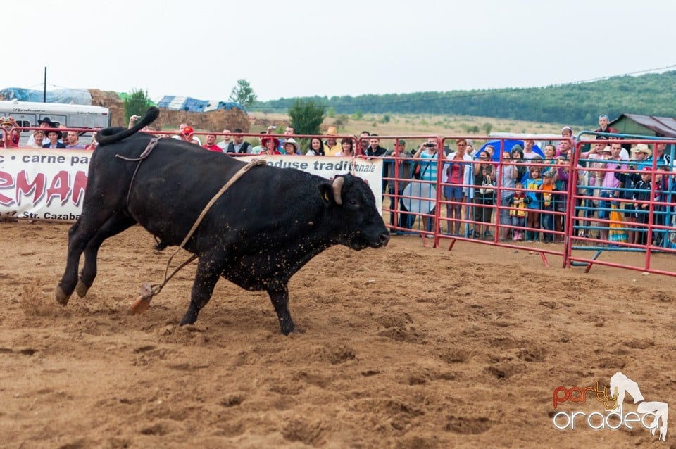 Campionat European de Rodeo, Băile Felix