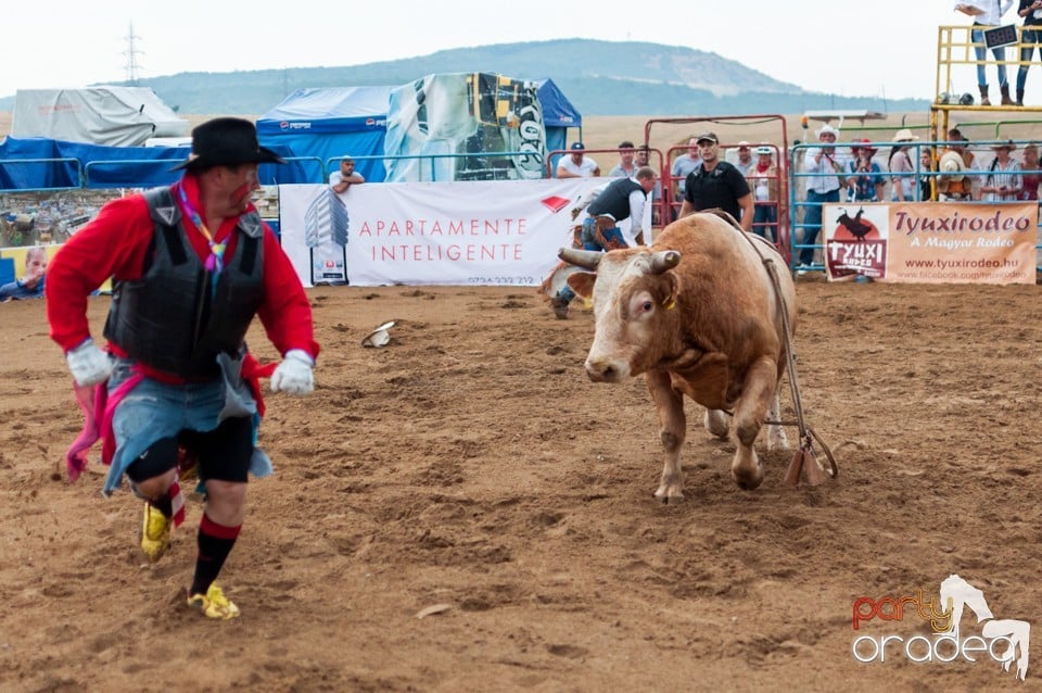 Campionat European de Rodeo, Băile Felix