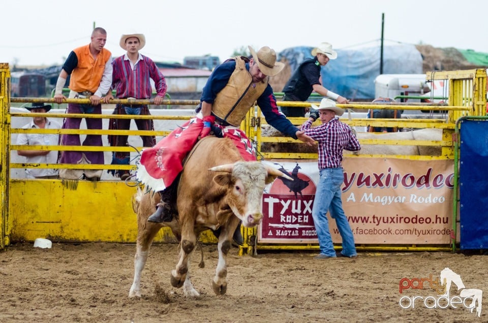 Campionat European de Rodeo, Băile Felix