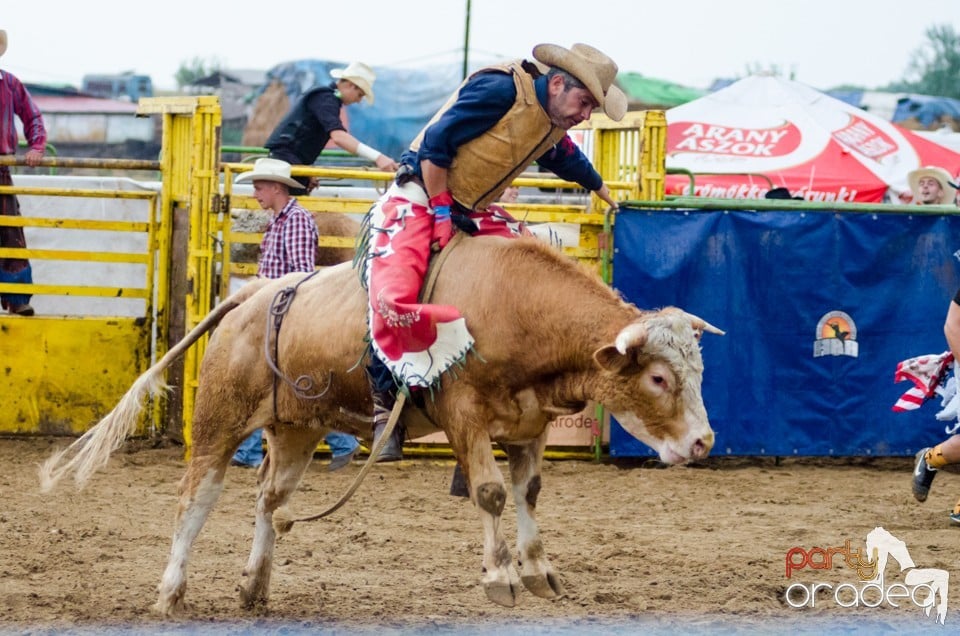 Campionat European de Rodeo, Băile Felix