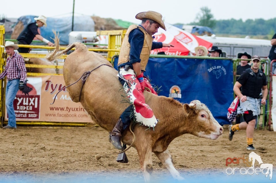 Campionat European de Rodeo, Băile Felix