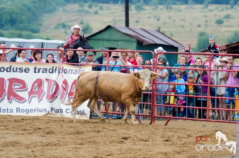 Campionat European de Rodeo, Băile Felix