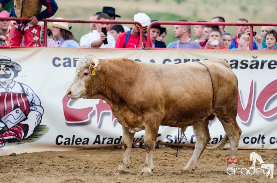 Campionat European de Rodeo, Băile Felix