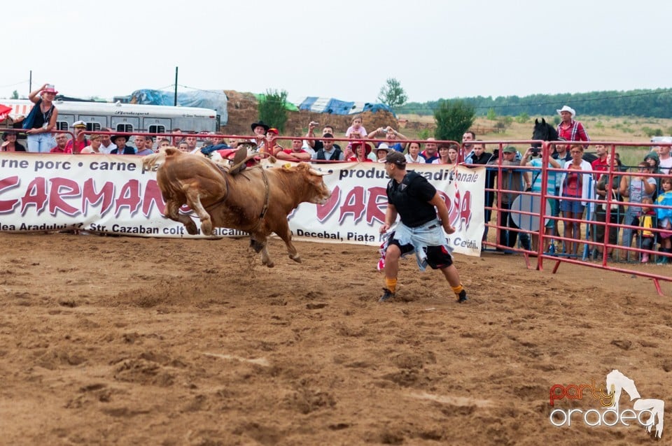 Campionat European de Rodeo, Băile Felix