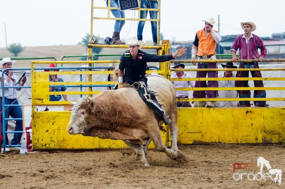 Campionat European de Rodeo, Băile Felix