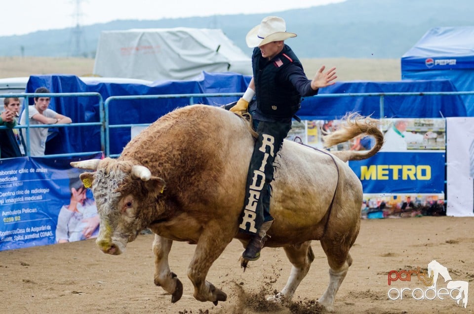 Campionat European de Rodeo, Băile Felix