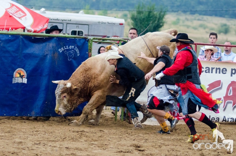 Campionat European de Rodeo, Băile Felix