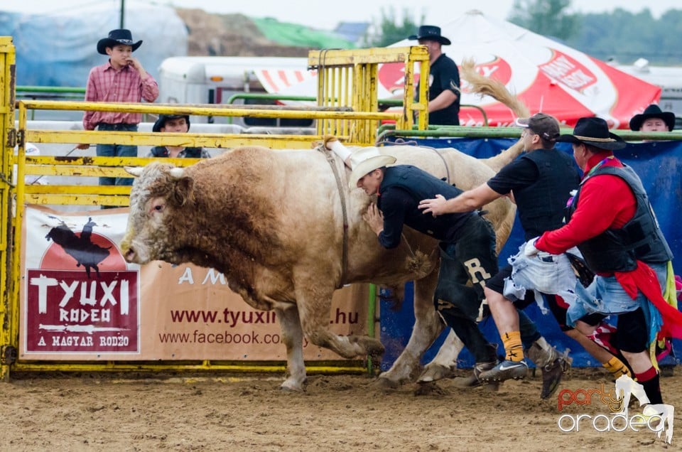 Campionat European de Rodeo, Băile Felix