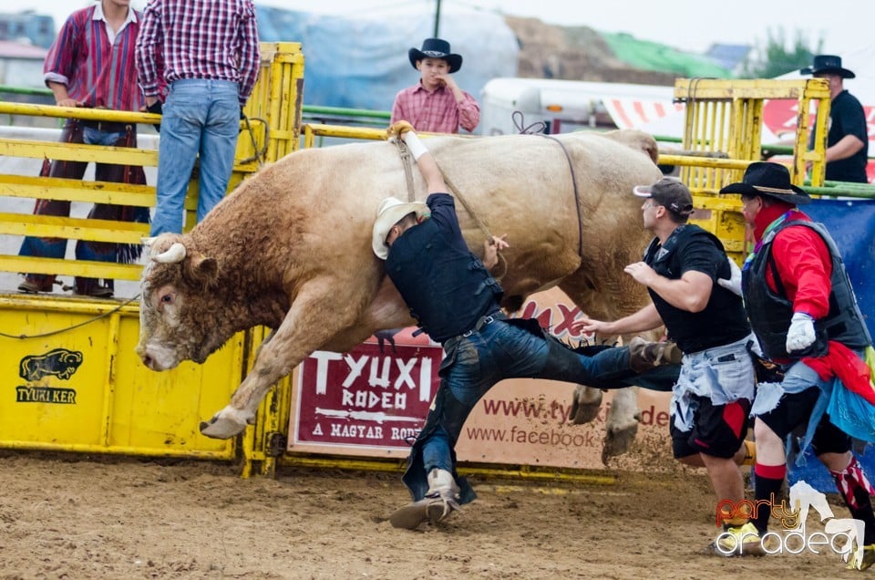 Campionat European de Rodeo, Băile Felix