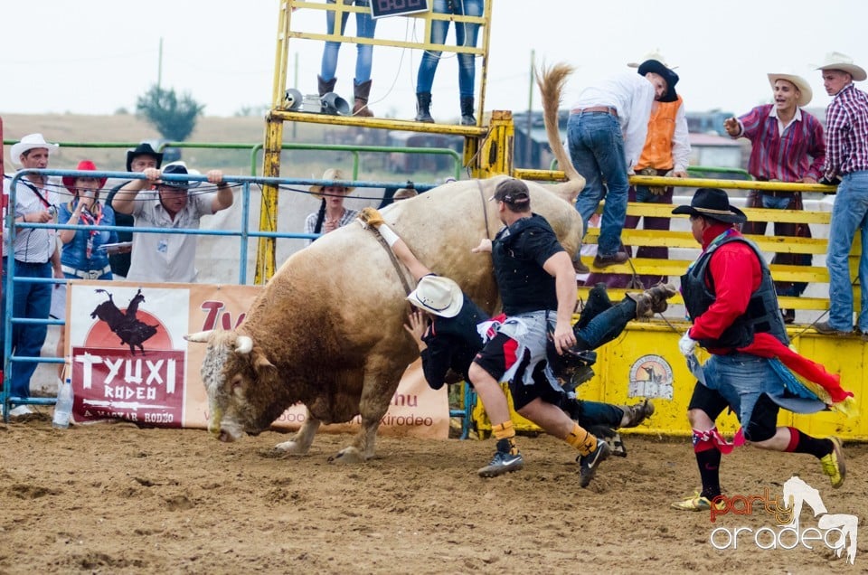 Campionat European de Rodeo, Băile Felix