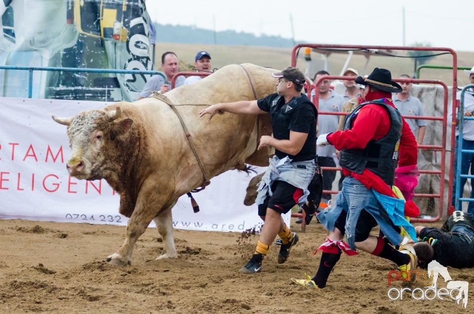 Campionat European de Rodeo, Băile Felix