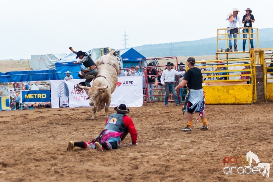 Campionat European de Rodeo, Băile Felix