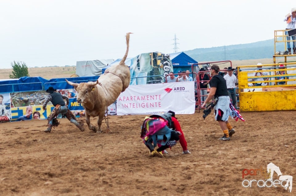 Campionat European de Rodeo, Băile Felix