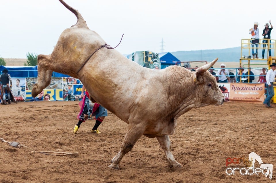 Campionat European de Rodeo, Băile Felix