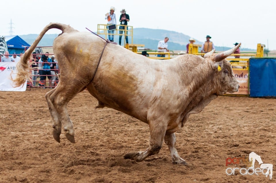 Campionat European de Rodeo, Băile Felix