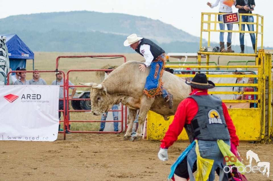 Campionat European de Rodeo, Băile Felix