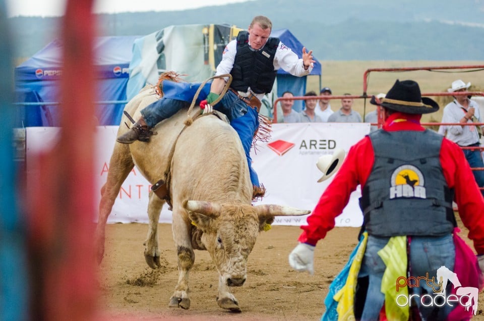 Campionat European de Rodeo, Băile Felix