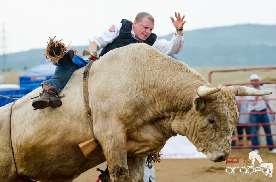 Campionat European de Rodeo, Băile Felix