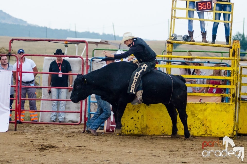 Campionat European de Rodeo, Băile Felix