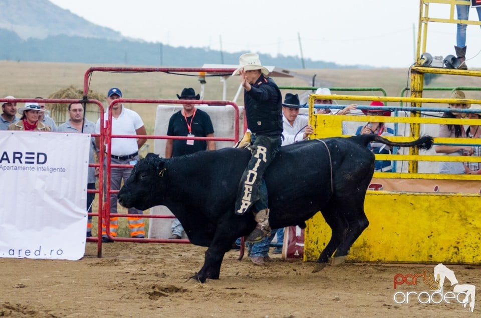 Campionat European de Rodeo, Băile Felix