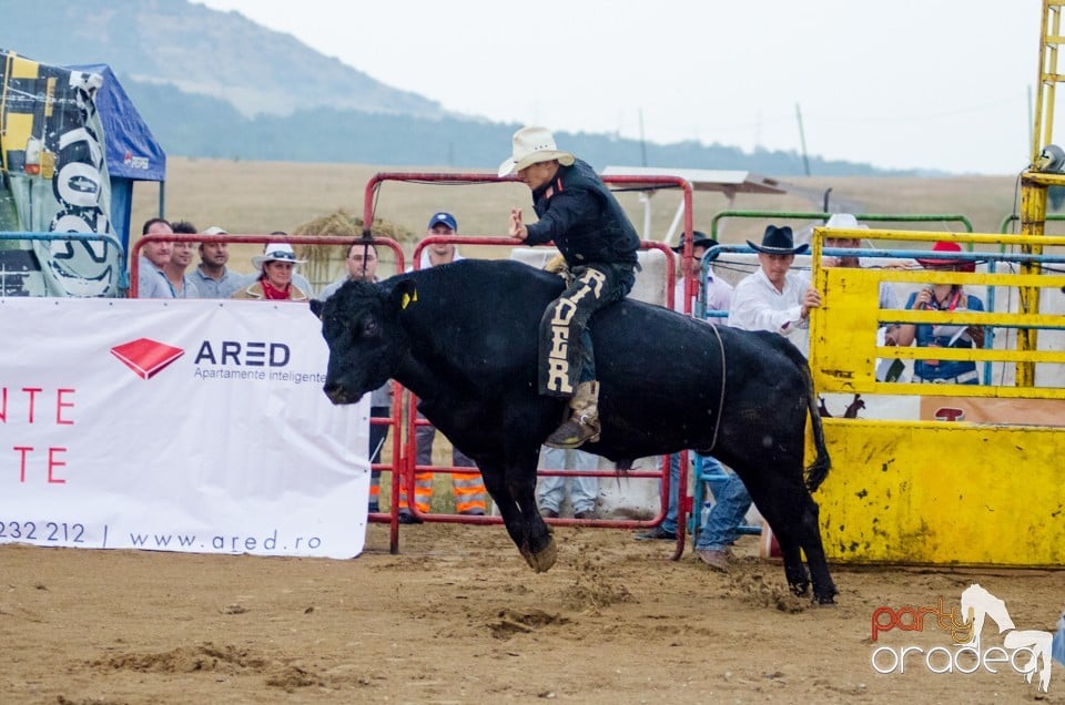 Campionat European de Rodeo, Băile Felix