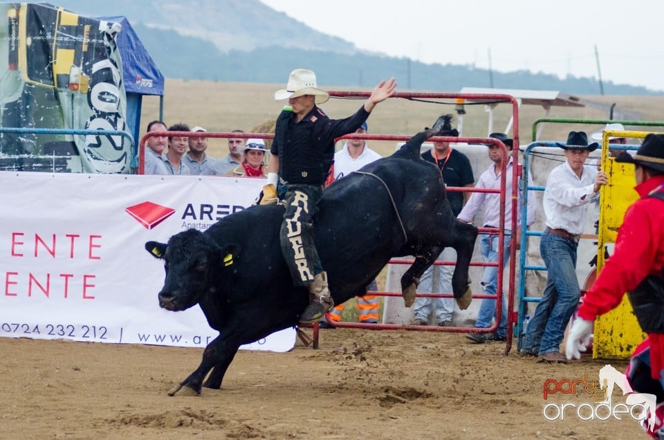 Campionat European de Rodeo, Băile Felix