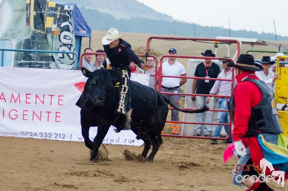 Campionat European de Rodeo, Băile Felix