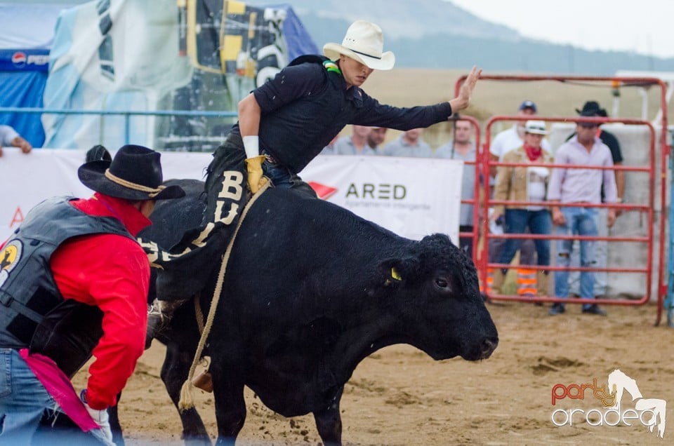 Campionat European de Rodeo, Băile Felix