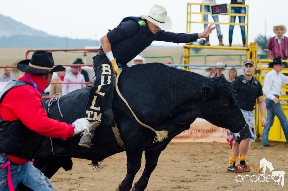 Campionat European de Rodeo, Băile Felix