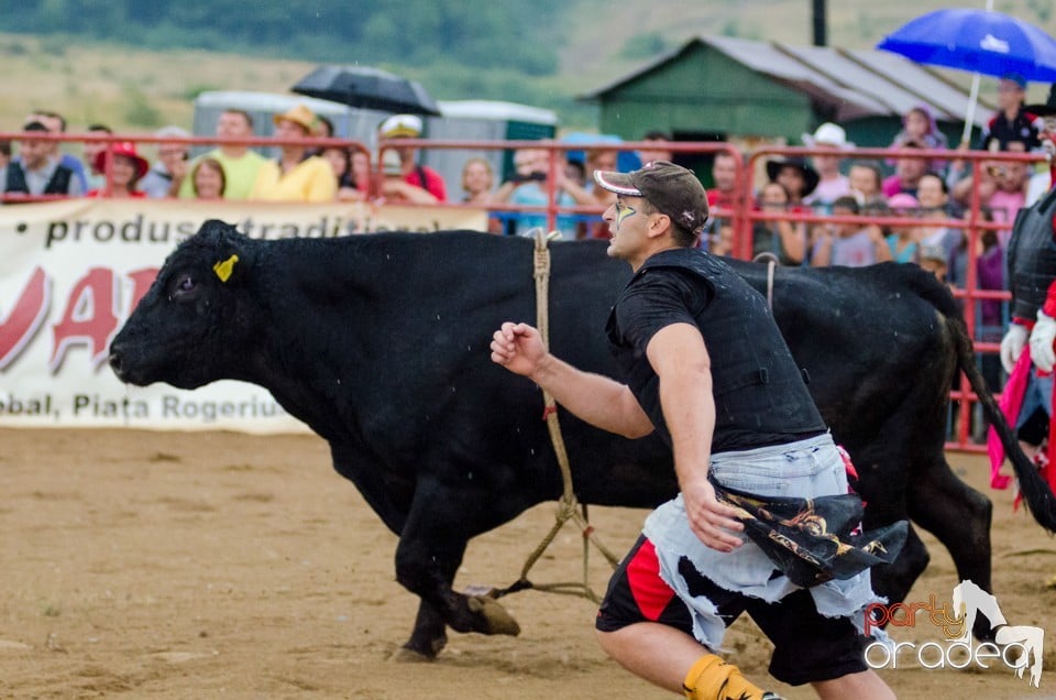 Campionat European de Rodeo, Băile Felix