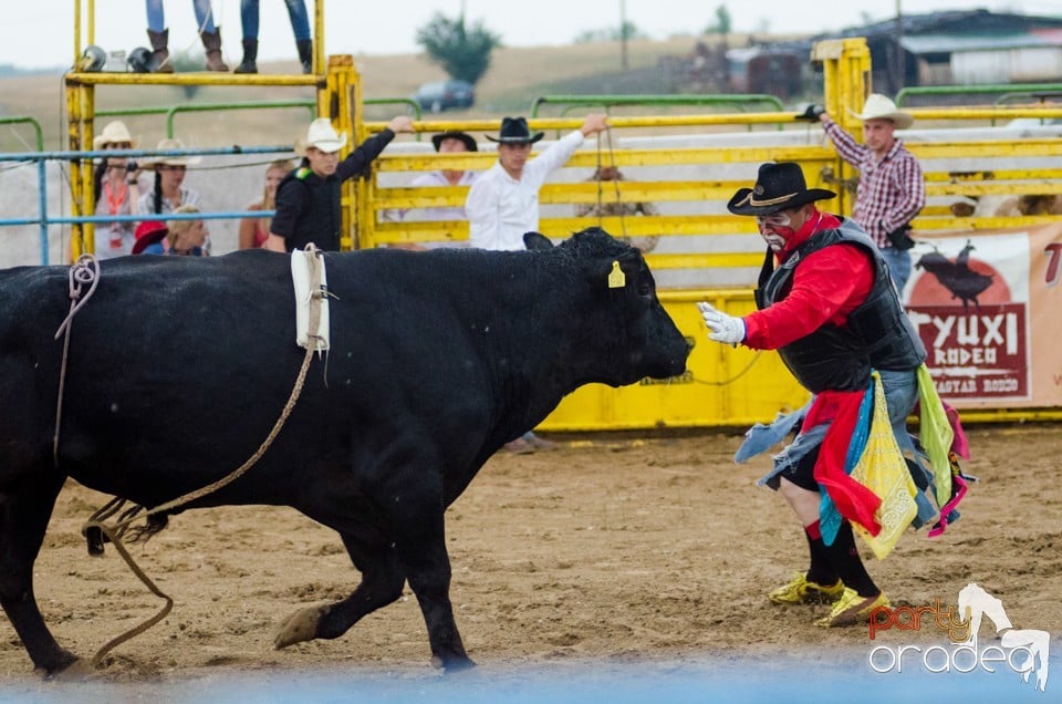 Campionat European de Rodeo, Băile Felix