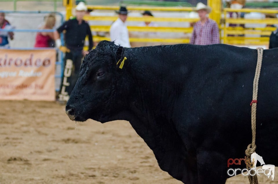 Campionat European de Rodeo, Băile Felix