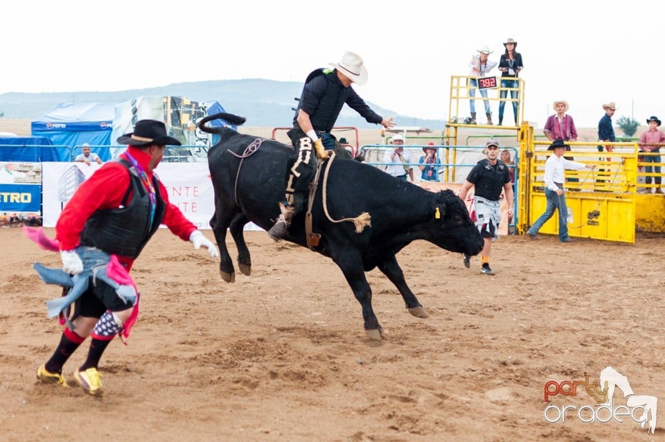 Campionat European de Rodeo, Băile Felix