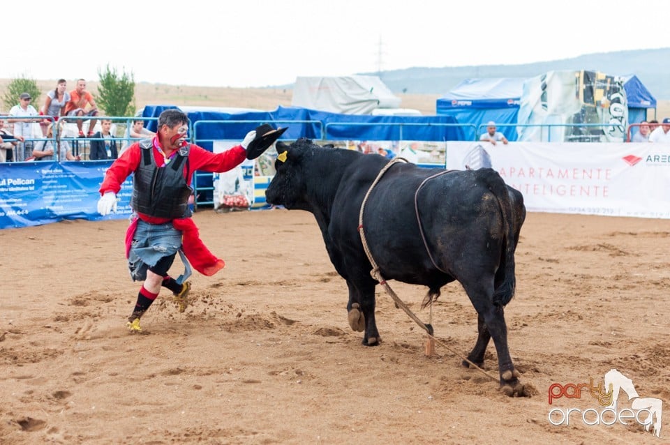 Campionat European de Rodeo, Băile Felix