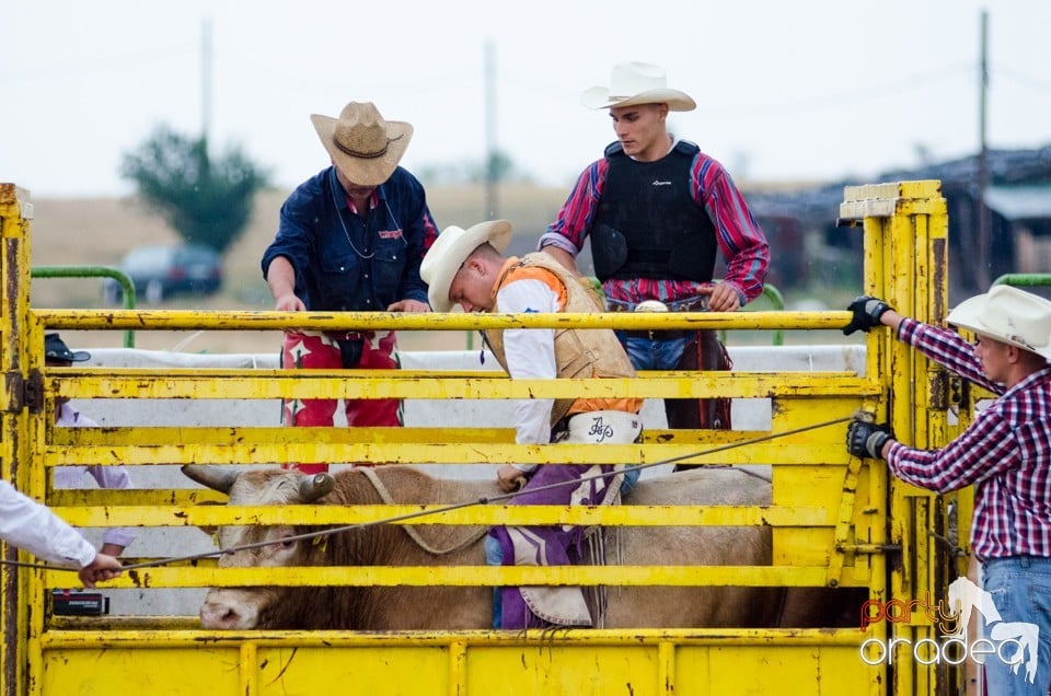 Campionat European de Rodeo, Băile Felix