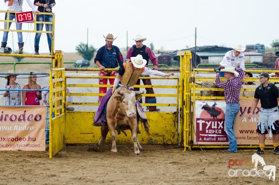 Campionat European de Rodeo, Băile Felix