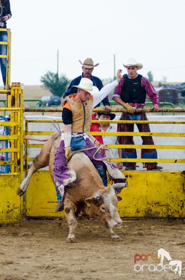 Campionat European de Rodeo, Băile Felix