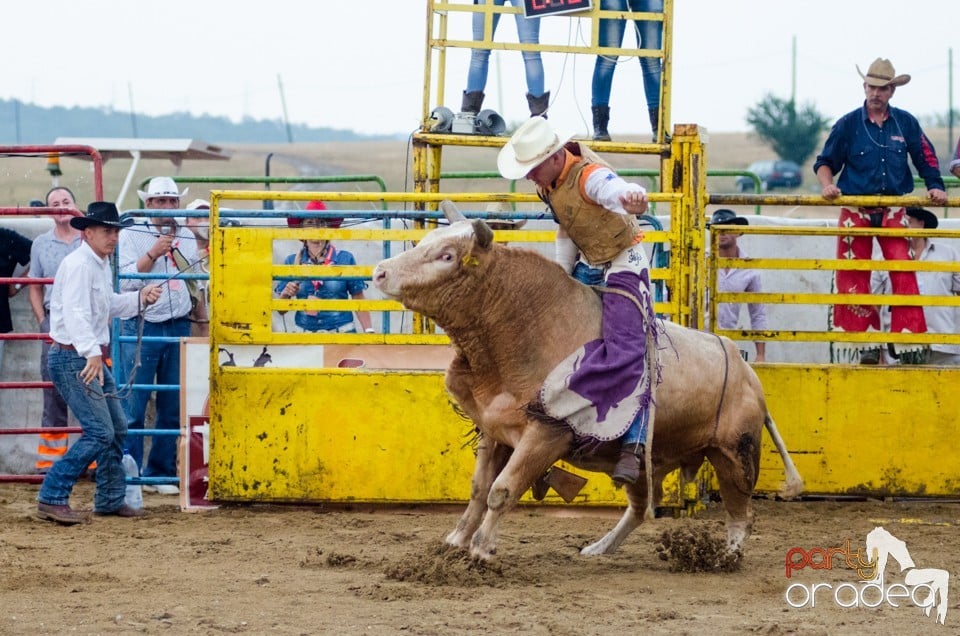 Campionat European de Rodeo, Băile Felix