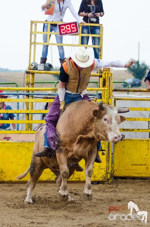 Campionat European de Rodeo, Băile Felix