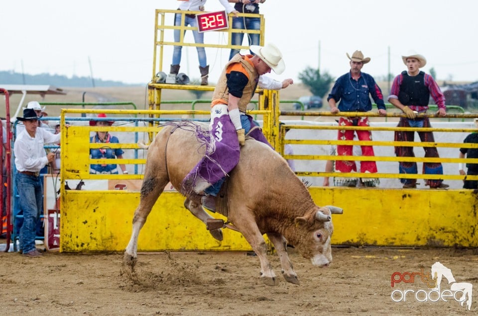 Campionat European de Rodeo, Băile Felix