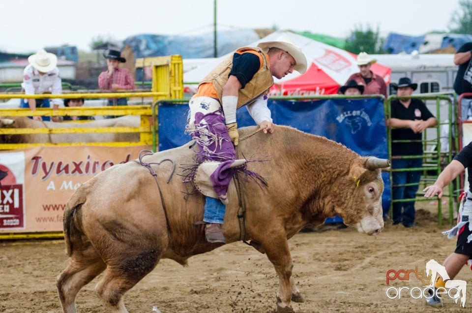 Campionat European de Rodeo, Băile Felix