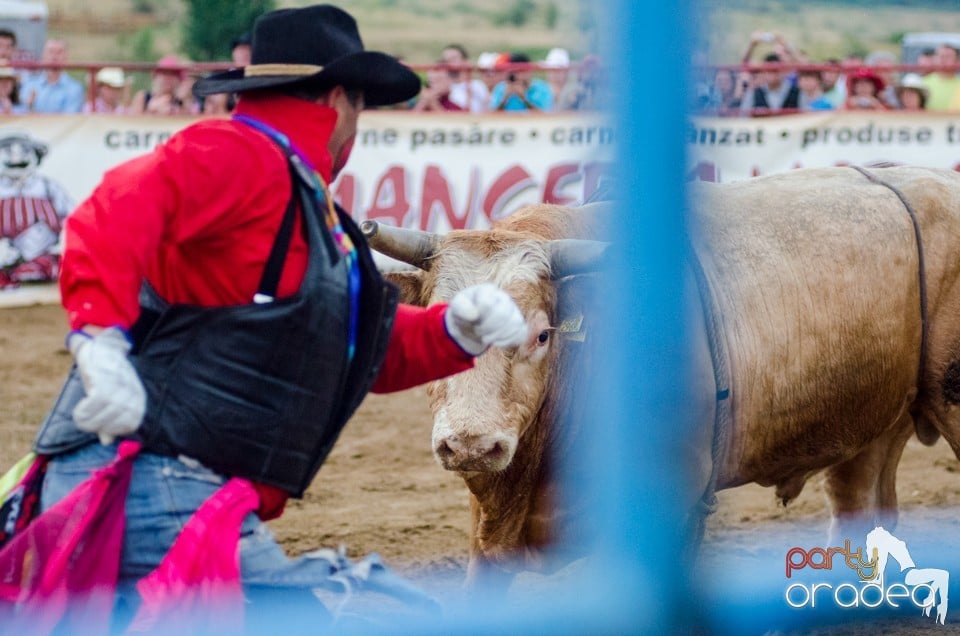 Campionat European de Rodeo, Băile Felix