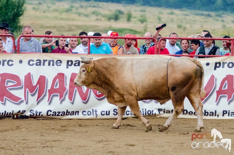 Campionat European de Rodeo, Băile Felix