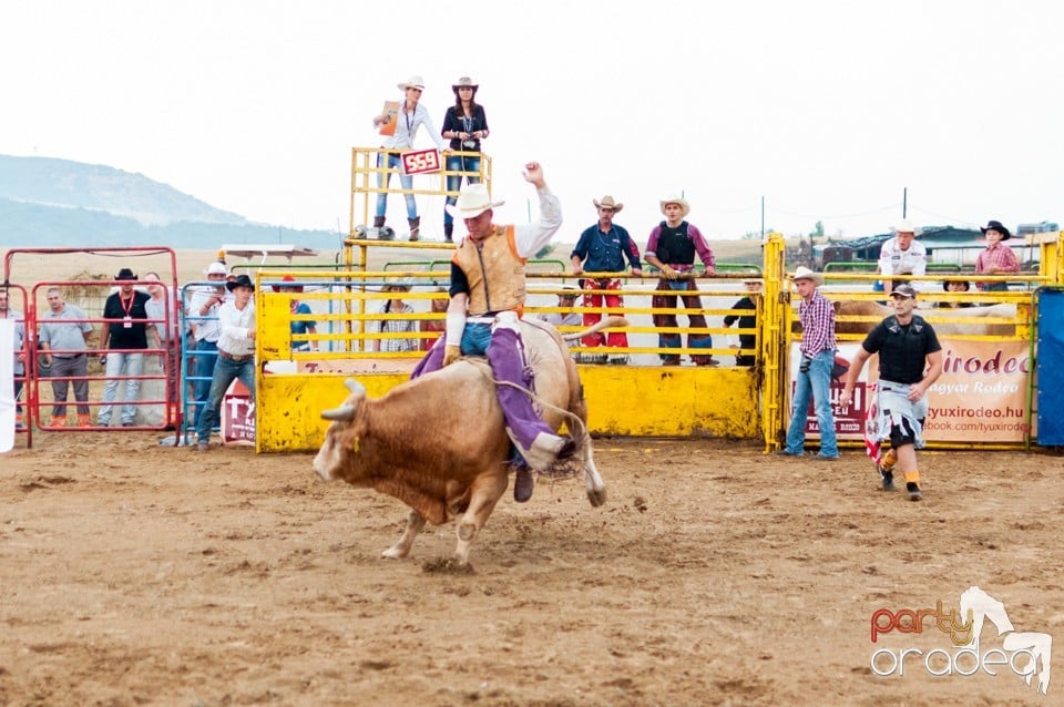 Campionat European de Rodeo, Băile Felix