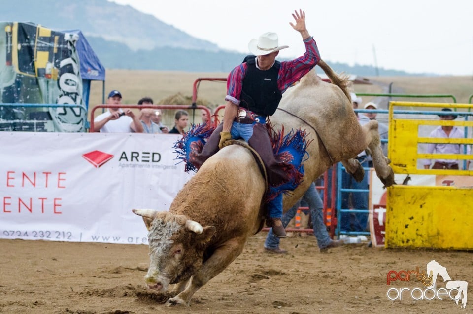 Campionat European de Rodeo, Băile Felix