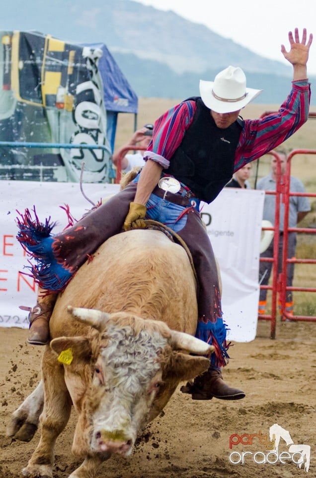 Campionat European de Rodeo, Băile Felix