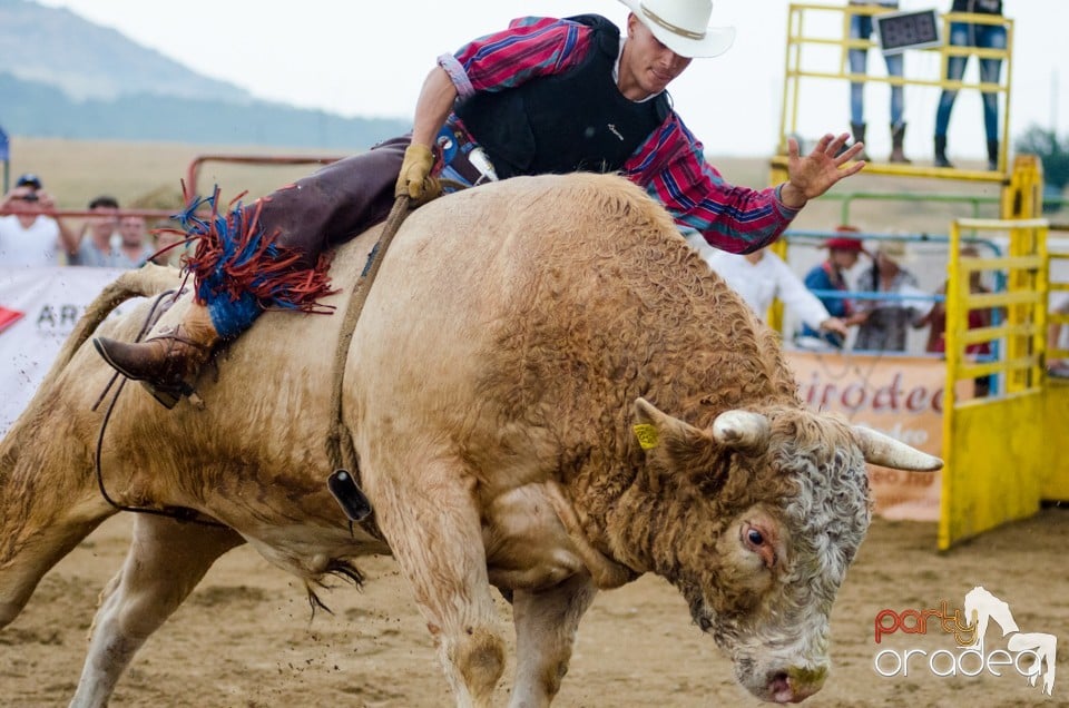 Campionat European de Rodeo, Băile Felix