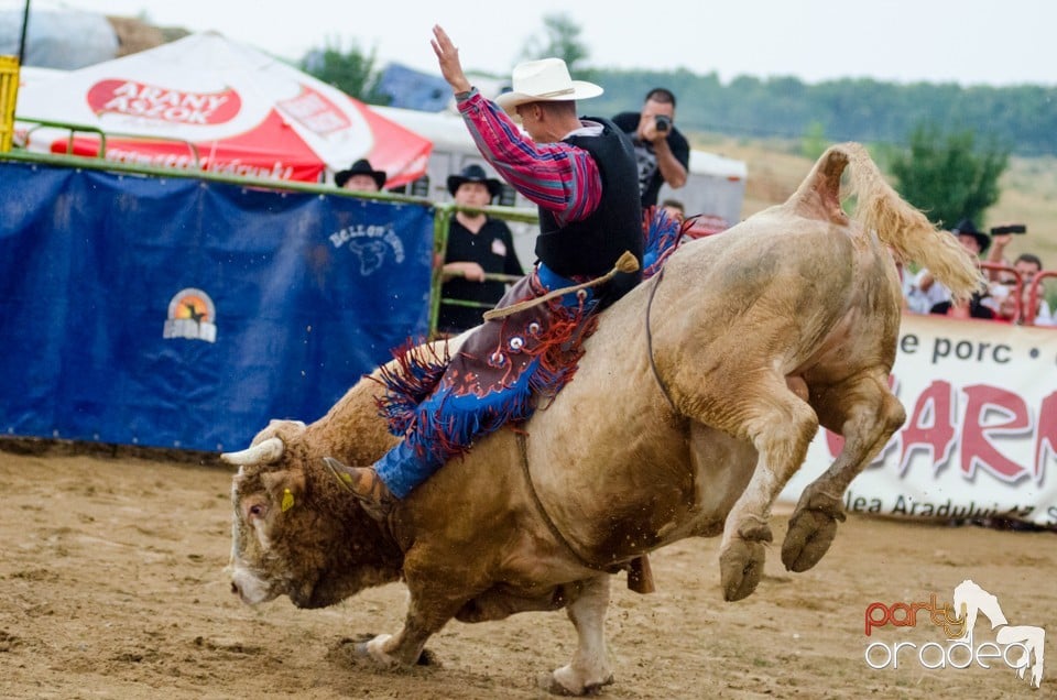 Campionat European de Rodeo, Băile Felix