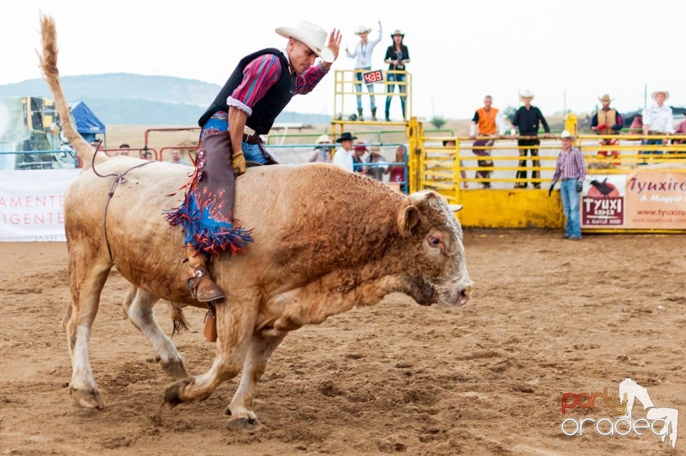 Campionat European de Rodeo, Băile Felix