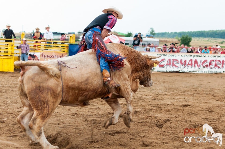 Campionat European de Rodeo, Băile Felix